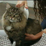 Pet Cat Dog Electric Terminator Brush Anti Removal Kill Lice Cleaner Electric Head Pet Fleas Electronic Lice Comb for Dog