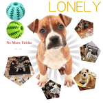 Pet Dog Toys Extra-tough Rubber Ball Toy Funny Interactive Elasticity Ball Dog Chew Toys For Dog Tooth Cleaning Ball Of Food