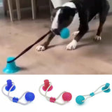 Dog Interactive Suction Cup Push