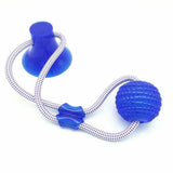 Dog Interactive Suction Cup Push
